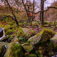 Buy canvas prints of Woodland Stream panoramic by Mike Higginson