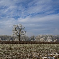 Buy canvas prints of Winter Landscape by Mark Bangert