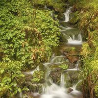 Buy canvas prints of Burgbach Waterfall, Black Forest, Germany 4 by Mark Bangert