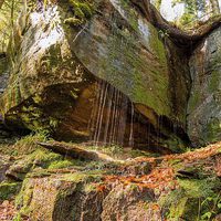 Buy canvas prints of Sankenbach Waterfall, Black Forest, Germany by Mark Bangert