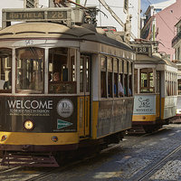 Buy canvas prints of Lisbon trams by Mark Bangert