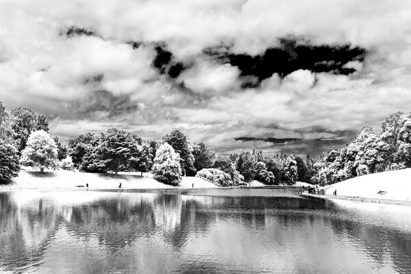 The Lake, Sefton Park, Liverpool, Merseyside, England, UK, infra red Picture Board by John B Walker LRPS