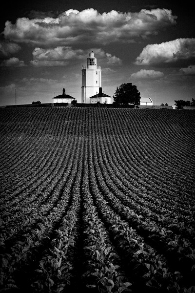 North Foreland Lighthouse Picture Board by John B Walker LRPS