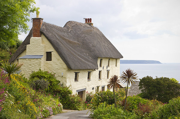 Cornish Cottage at The Lizard Picture Board by John B Walker LRPS