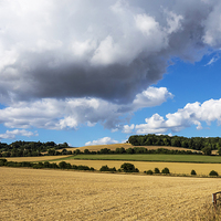 Buy canvas prints of North Downs in Kent by John B Walker LRPS