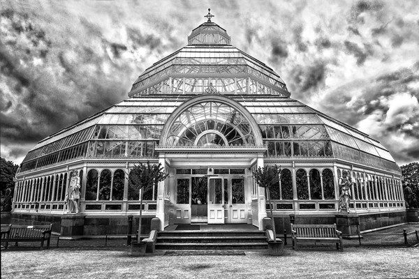 The Palm House Sefton Park Liverpool England Picture Board by John B Walker LRPS