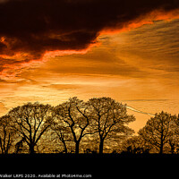 Buy canvas prints of Kentish Winter Sunset by John B Walker LRPS