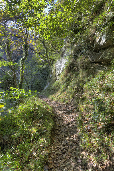Stunning Autumn Walk to Watersmeet Picture Board by Mike Gorton