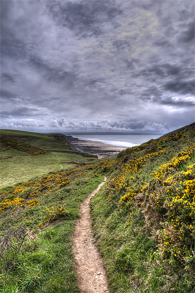 On The Coastal Path To Sandymouth Picture Board by Mike Gorton