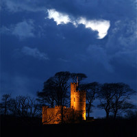 Buy canvas prints of Tawstock Tower and Castle at Night by Mike Gorton