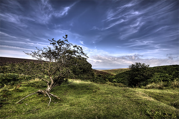 On Top of Exmoor Picture Board by Mike Gorton