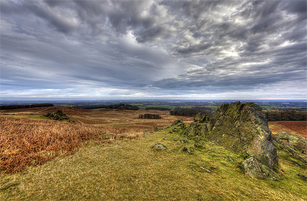 Looking over Bradgate Park Picture Board by Mike Gorton