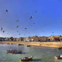Buy canvas prints of Seagulls Invade St Ives Cornwall by Mike Gorton