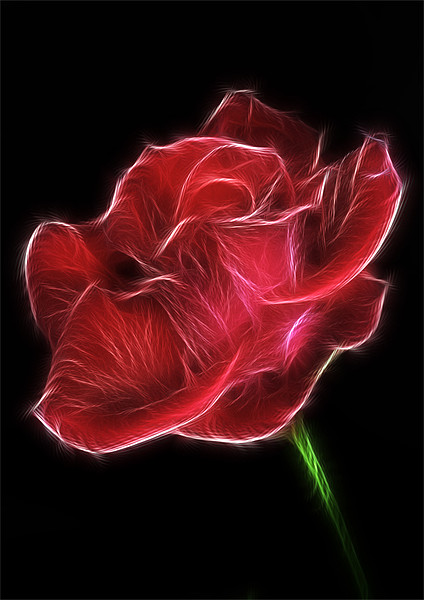 Electric Red Rose Picture Board by Mike Gorton