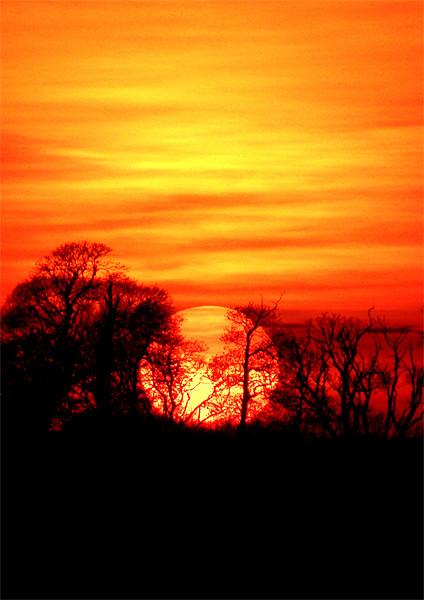 Burning Devon Sunset Picture Board by Mike Gorton