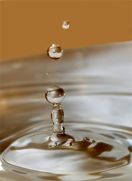 Water Droplet Macro Picture Board by Mike Gorton