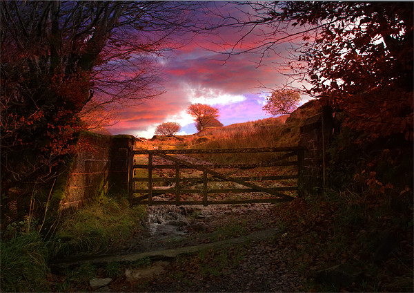 Gateway to an Autumn Exmoor Sunset Picture Board by Mike Gorton