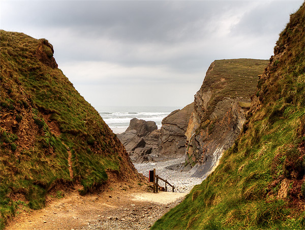 Walking down To Sandymouth Beach Picture Board by Mike Gorton