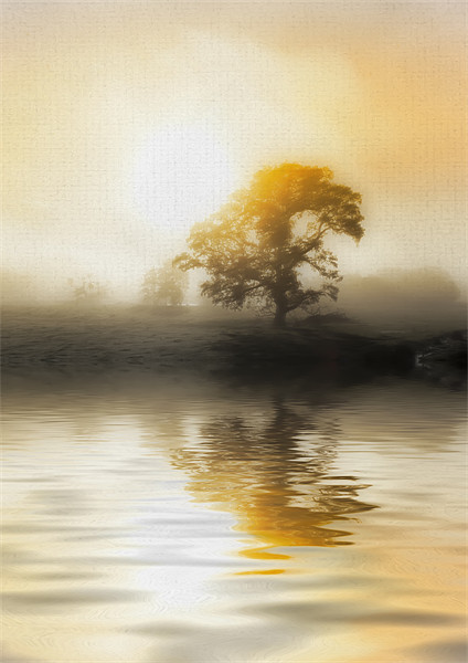 Soft Misty Morning Picture Board by Mike Gorton