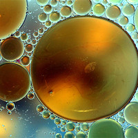 Buy canvas prints of Oil Droplets by Mike Gorton