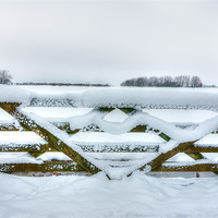 Buy canvas prints of Snowy Gate by Mike Gorton
