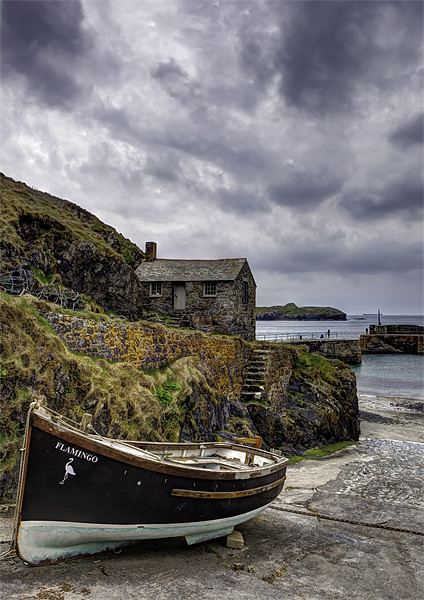 Mullion Cove and Harbour Picture Board by Mike Gorton