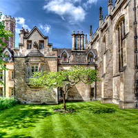 Buy canvas prints of Cambridge University Courtyard by Mike Gorton