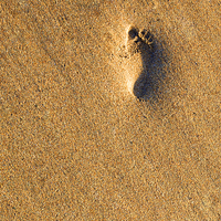 Buy canvas prints of Footprint in the Sand by Mike Gorton