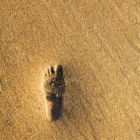 Buy canvas prints of Child's Imprint in Sandy Beach by Mike Gorton