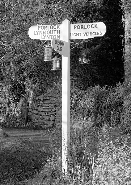 Bird Feeder Signpost Picture Board by Mike Gorton