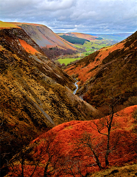 Welsh Valley Colours of Autumn Picture Board by Mike Gorton