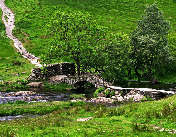 Bridge in the Lake District Picture Board by Mike Gorton