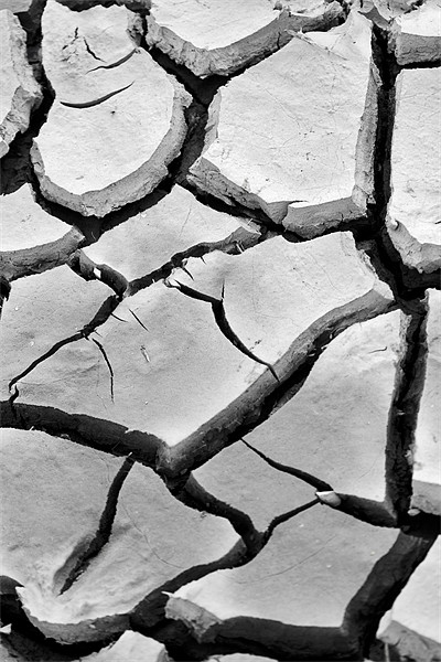 The Drought's Deep Scars Picture Board by Mike Gorton