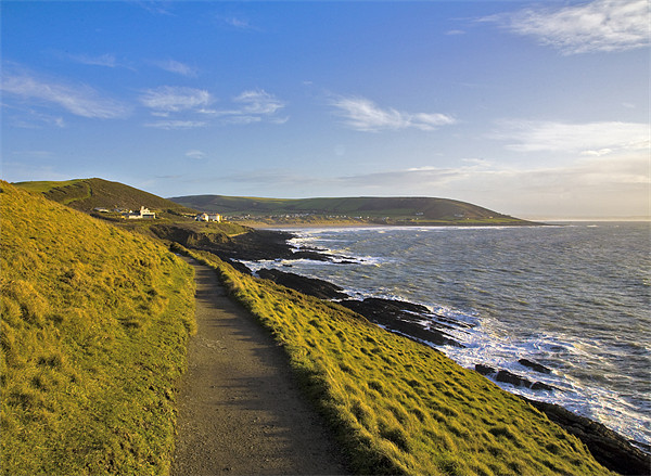 Path from Baggy point to Croyde and Woolacombe Picture Board by Mike Gorton