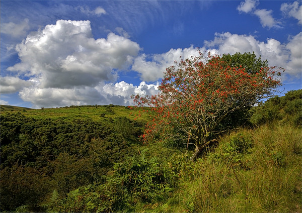 Exmoor At Its Best Picture Board by Mike Gorton