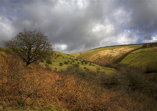 Exmoor Valley Picture Board by Mike Gorton