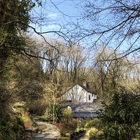 Buy canvas prints of Path to Docton Mill House by Mike Gorton