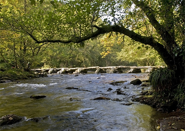 Tarr Steps in Somerset Picture Board by Mike Gorton