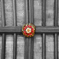 Buy canvas prints of Tudor Rose by Mike Gorton