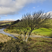 Buy canvas prints of Tree with a view over Landacre Bridge by Mike Gorton