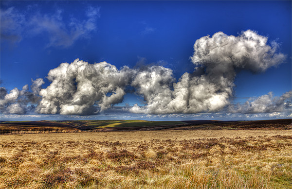 Cumulus Clouds Over Exmoor Picture Board by Mike Gorton
