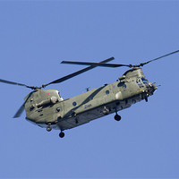 Buy canvas prints of Chinook by Mike Gorton