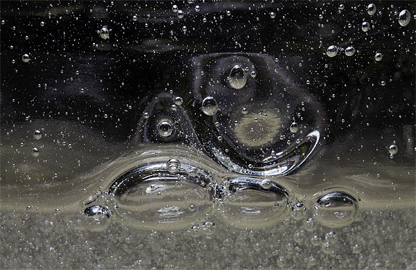 Liquid Bubbles Macro Picture Board by Mike Gorton