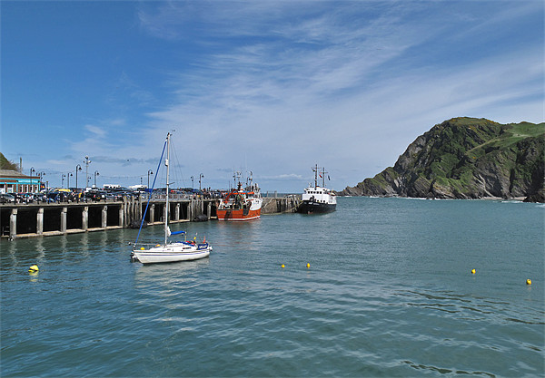 Ilfracombe Harbour Picture Board by Mike Gorton