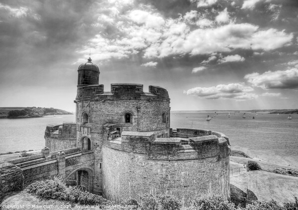 St Mawes Castle Picture Board by Mike Gorton