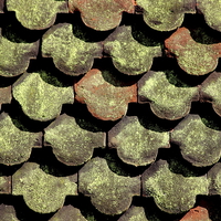 Buy canvas prints of  Tiles, Shadows and Lichen  by Tim Bell