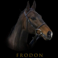 Buy canvas prints of Frodon by Shaun White