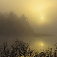 Buy canvas prints of  Misty Dawn by Shaun White