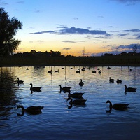 Buy canvas prints of Blackheath Duck Pond at sunset by Stephanie Chapman