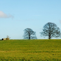 Buy canvas prints of Top hill by macaulay sanders